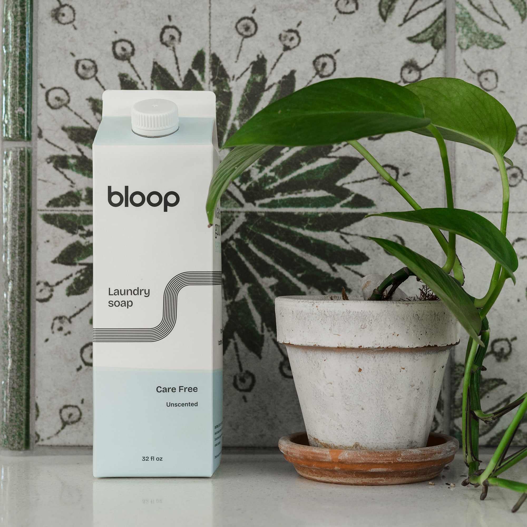 Front View of Care Free Concentrated Laundry Soap. 32 ounces. Plastic-free packaging. Plant next to the product.