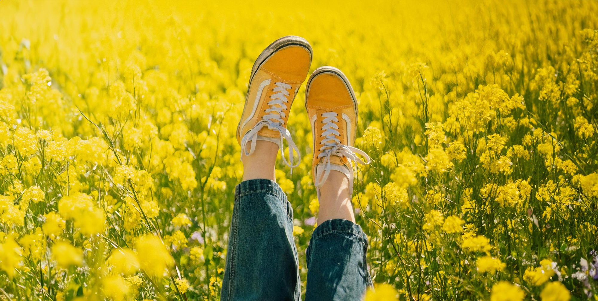 Image of Shoes in a field of Yellow flowers.