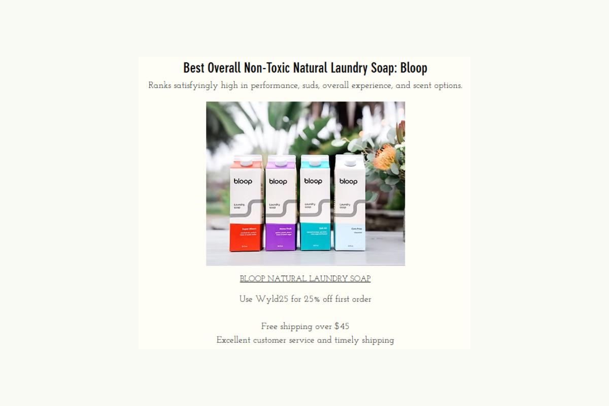 Bloop Laundry Soap Review from the Wyld One — Real Tests, Real Results